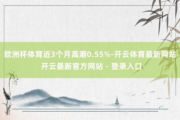 欧洲杯体育近3个月高潮0.55%-开云体育最新网站 开云最新官方网站 - 登录入口